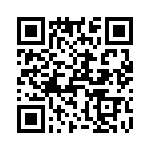 T38527-23-0 QRCode