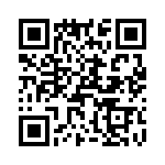 T38528-01-0 QRCode