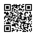 T38528-02-0 QRCode