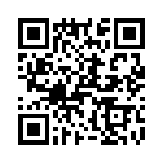 T38528-03-0 QRCode