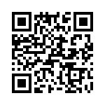 T38528-08-0 QRCode