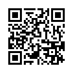 T38528-09-0 QRCode