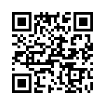 T38530-03-0 QRCode