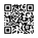 T38530-04-0 QRCode