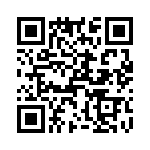 T38530-05-0 QRCode