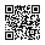 T38530-11-0 QRCode