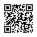 T38530-13-0 QRCode