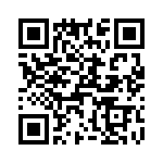 T38530-24-0 QRCode