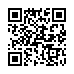 T38531-02-0 QRCode