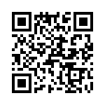 T38531-07-0 QRCode