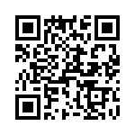 T38531-10-0 QRCode