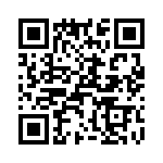 T38532-03-0 QRCode