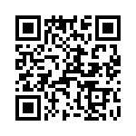 T38532-12-0 QRCode