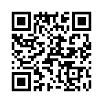 T38532-13-0 QRCode