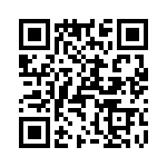 T38532-16-0 QRCode