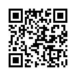 T38532-21-0 QRCode
