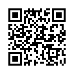 T38533-10-0 QRCode