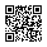 T38533-11-0 QRCode