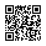 T38533-13-0 QRCode