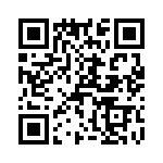 T38533-19-0 QRCode