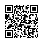 T38535-05-0 QRCode