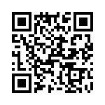 T38535-07-0 QRCode