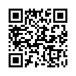 T38535-12-0 QRCode
