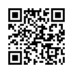 T38537-02-0 QRCode