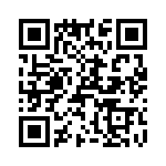 T38537-12-0 QRCode