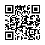 T38537-13-0 QRCode