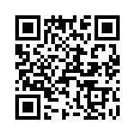 T38537-20-0 QRCode