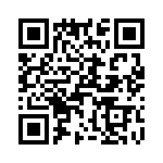 T38538-05-0 QRCode