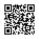 T38538-07-0 QRCode