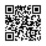 T38538-15-0 QRCode