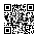 T38538-19-0 QRCode