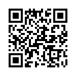 T38538-23-0 QRCode