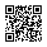 T38538-24-0 QRCode