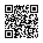 T38540-04-0 QRCode