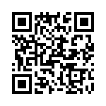 T38540-07-0 QRCode