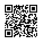 T38540-22-0 QRCode