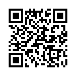 T38541-06-0 QRCode