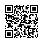 T38543-01-0 QRCode