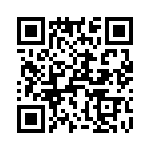 T38543-03-0 QRCode