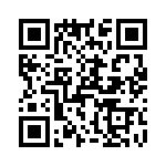 T38543-13-0 QRCode