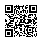 T38543-22-0 QRCode