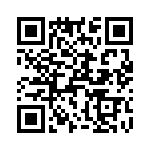 T38543-24-0 QRCode