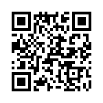 T38547-13-0 QRCode