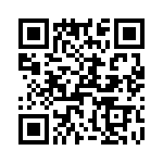 T38548-22-0 QRCode