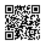 T38548-23-0 QRCode