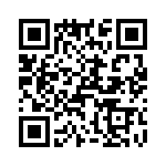 T38560-03-0 QRCode